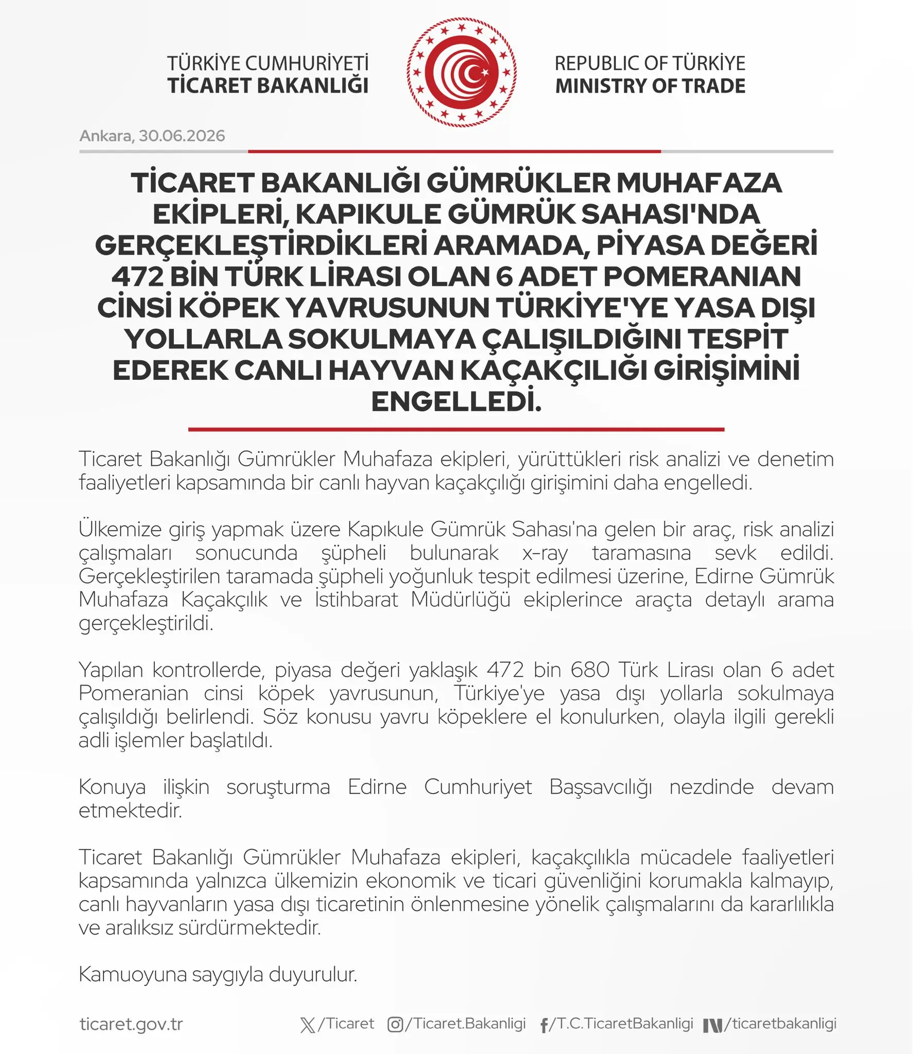 Kapıkule'de 6 Pomeranian Yavru Köpek Ele geçirildi