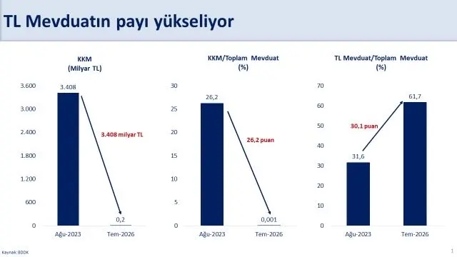 Türk lirası mevduatları son 11 yılın zirvesinde
