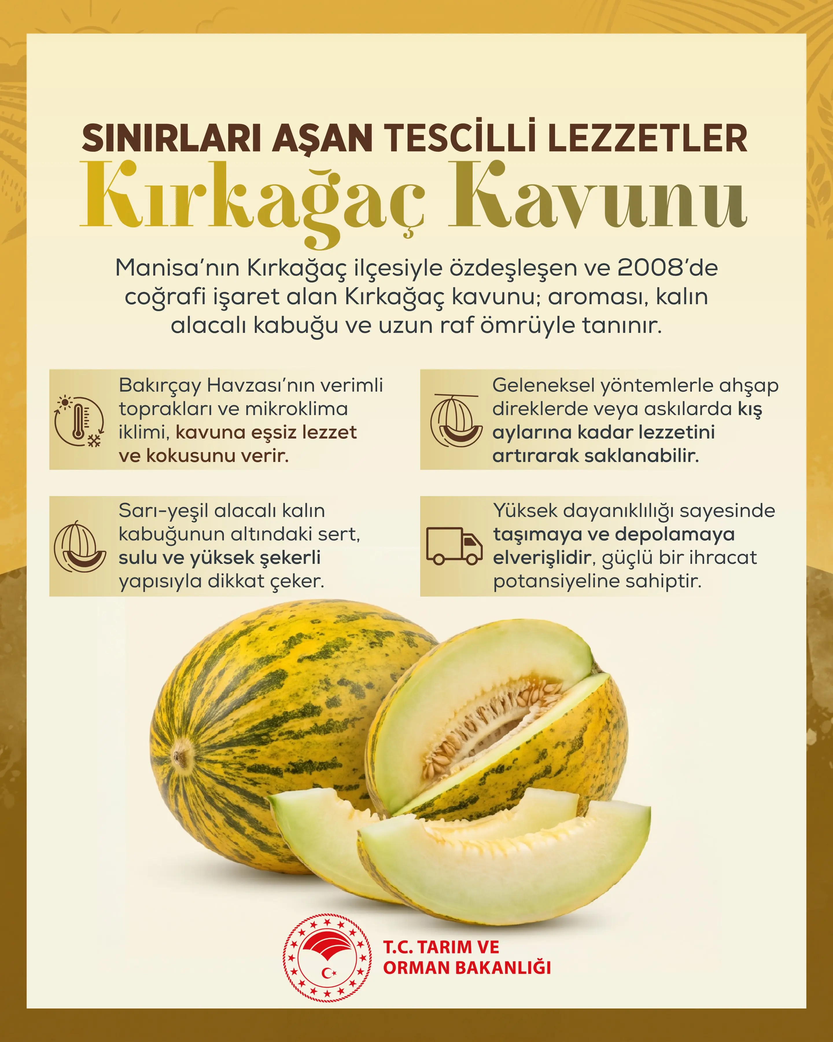 Kırkağaç Kavunu, geleneksel yöntemlerle saklanıyor
