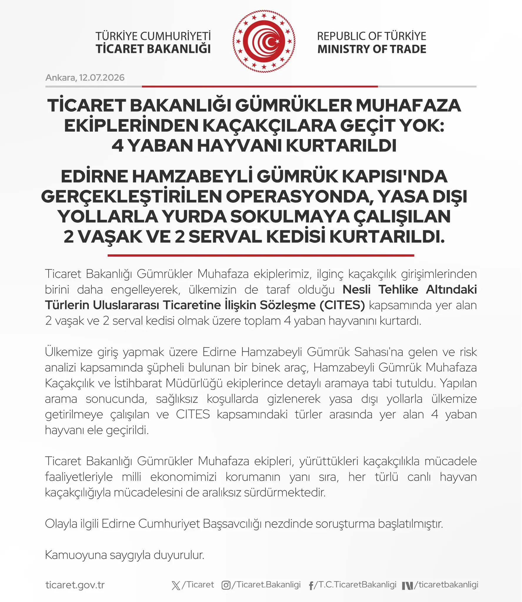 Dış Ticaret Bakanlığı ekipleri, 4 yaban hayvanını kurtardı