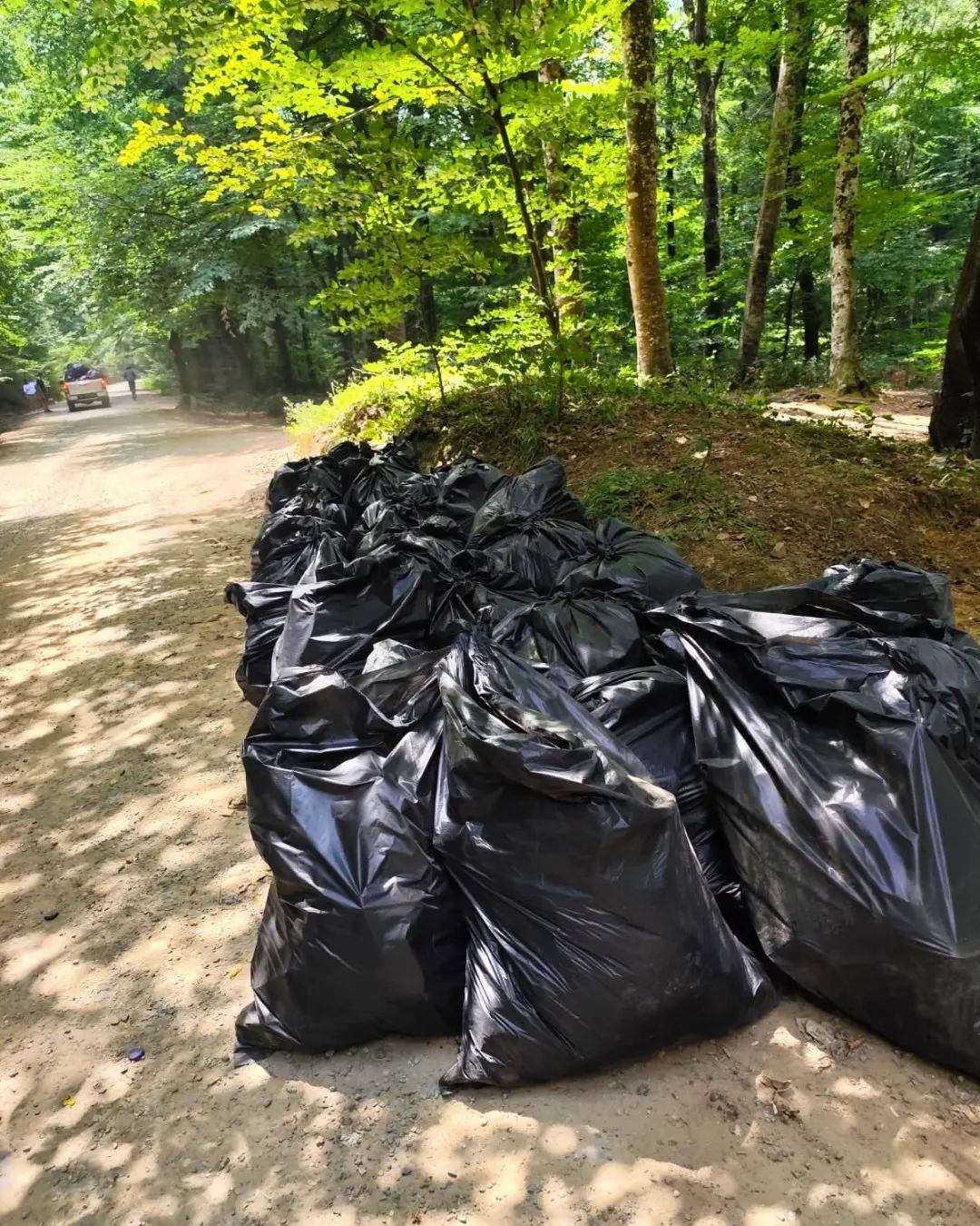 Belgrad Ormanı'nda temizlik çalışmaları yapıldı