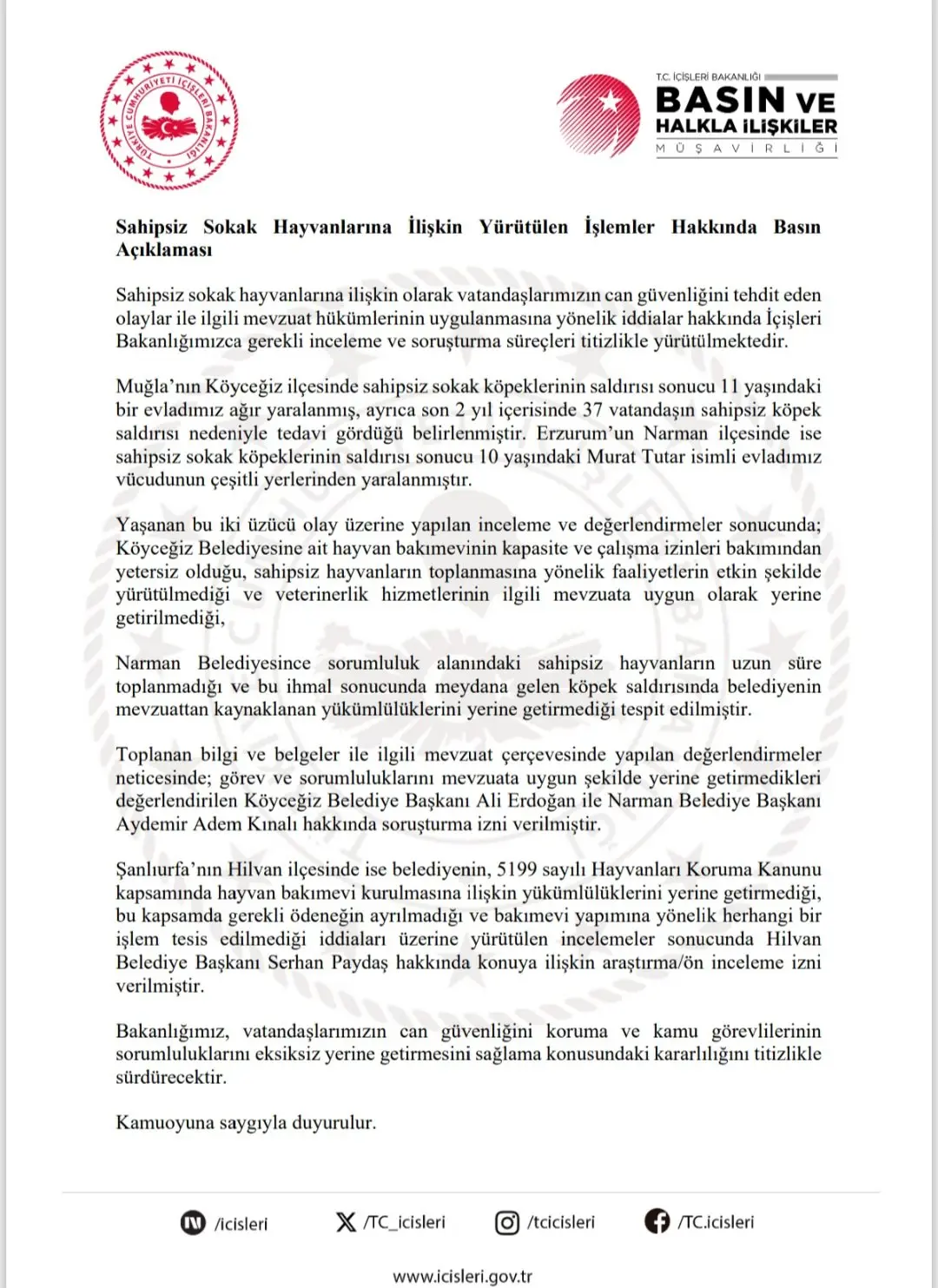 Sokak Hayvanları Üzerine Soruşturma Başlatıldı