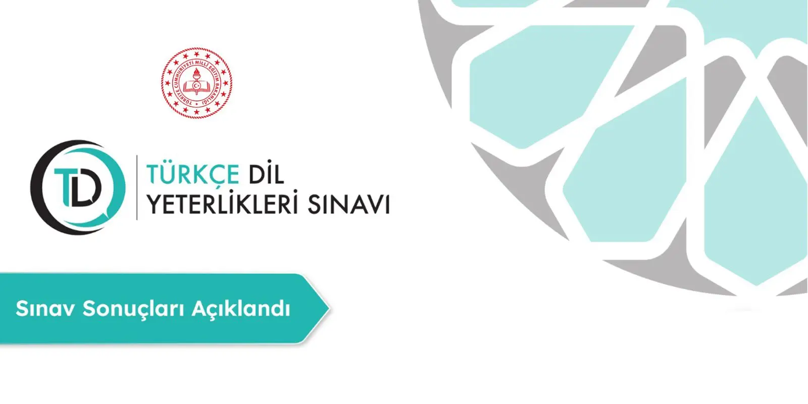 Türkçe Dil Yeterlikleri e-Sınavı sonuçları açıklandı