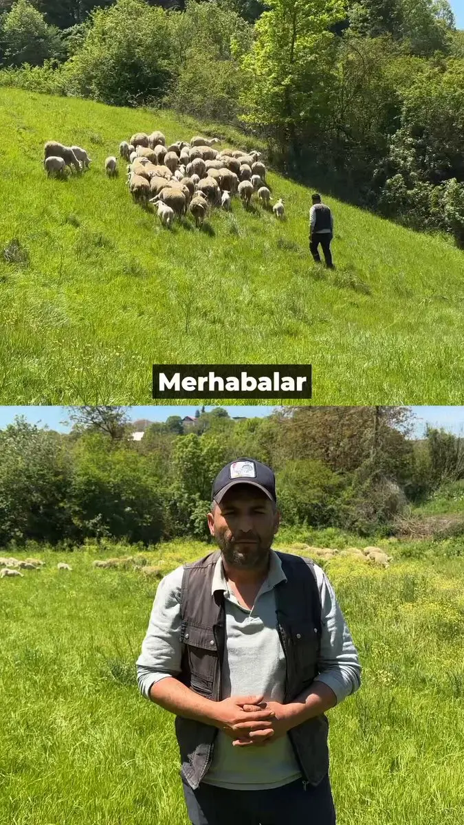 Yalova'da köye dönüşle yeni bir hayat kuruldu