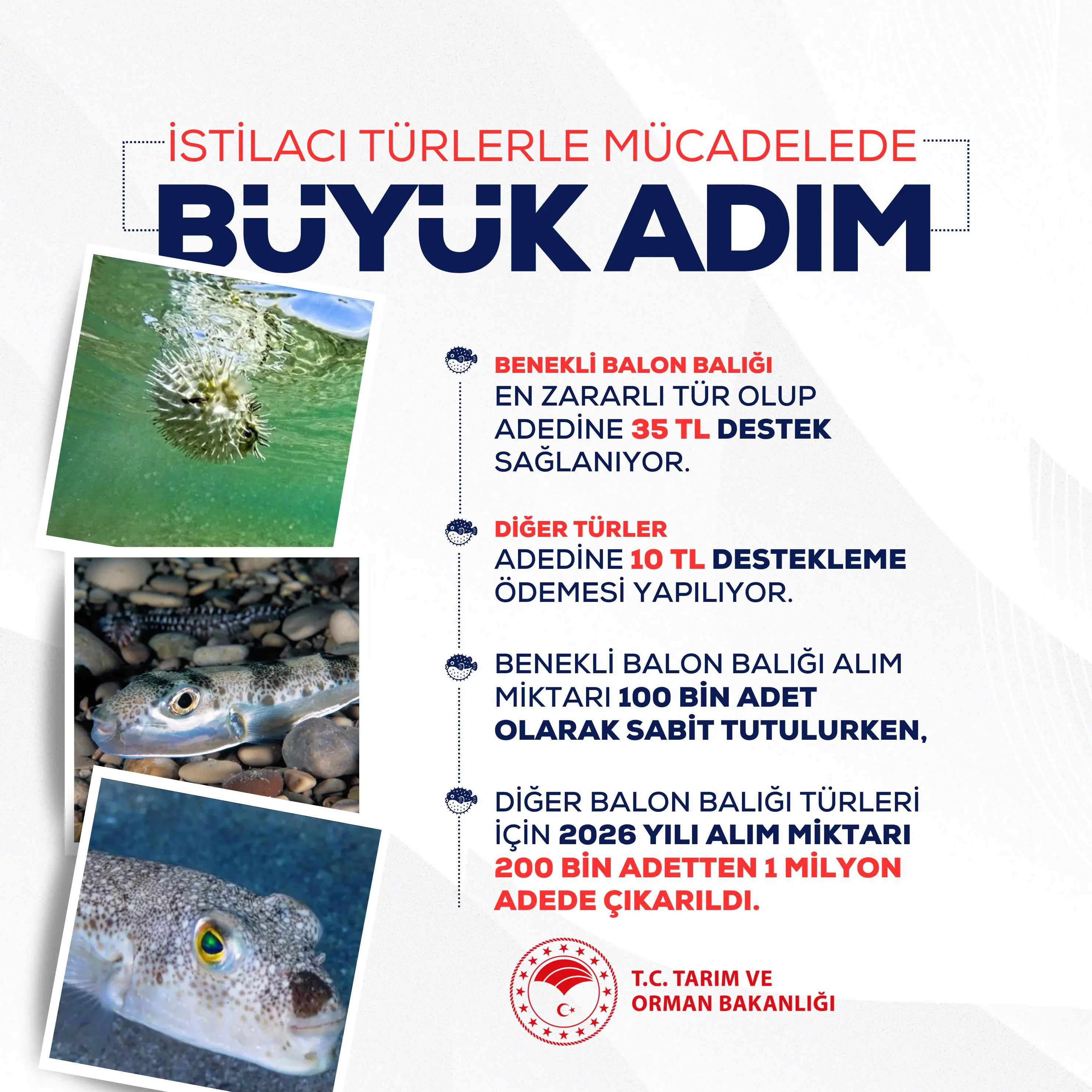 İstilacı türlerle mücadele için yeni alım kotaları belirlendi