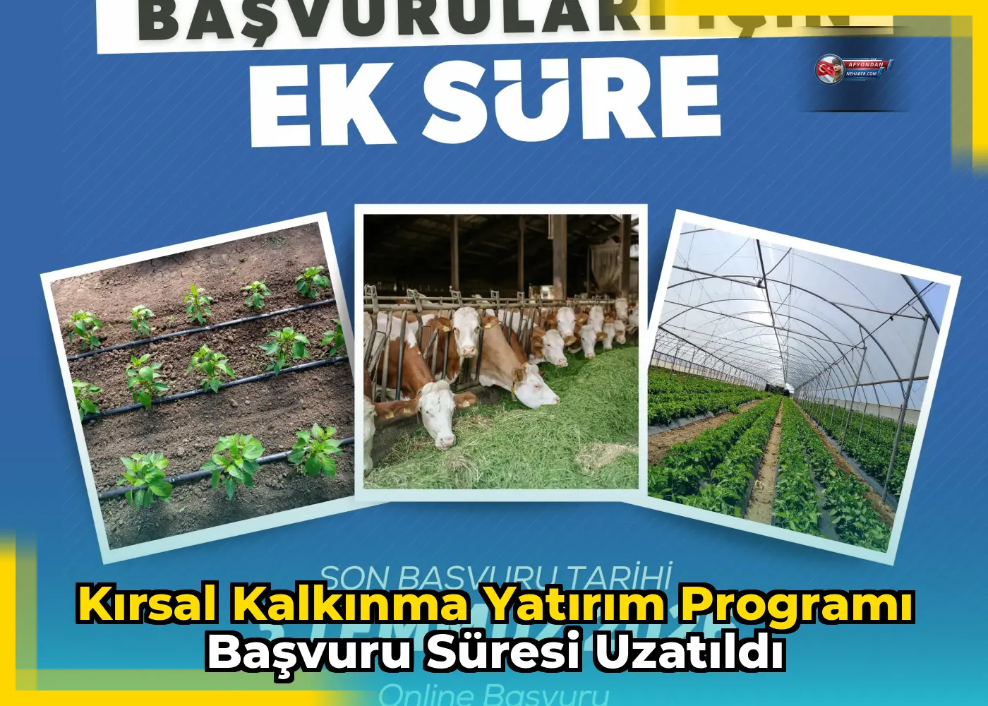 Kırsal Kalkınma Yatırım Programı başvuru süresi uzatıldı