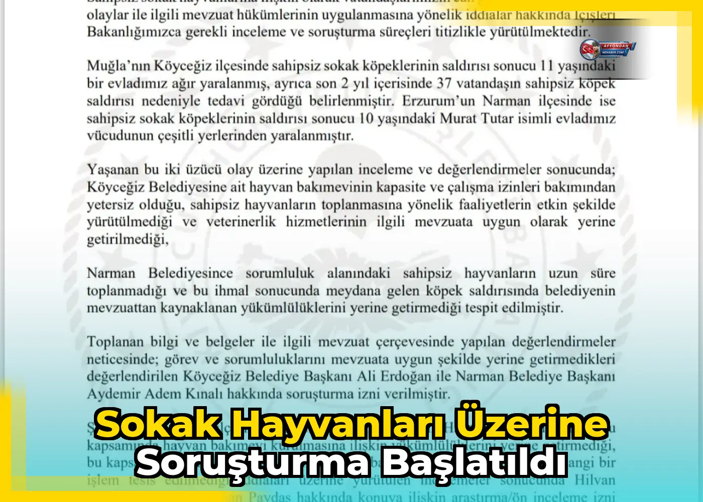 Sokak Hayvanları Üzerine Soruşturma Başlatıldı