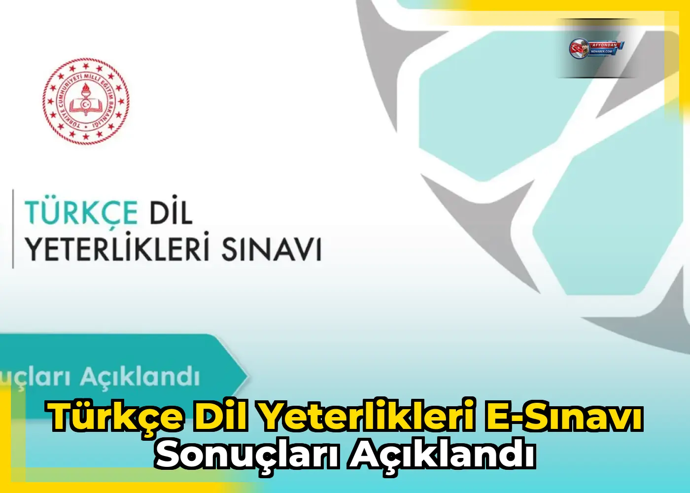 Türkçe Dil Yeterlikleri e-Sınavı sonuçları açıklandı