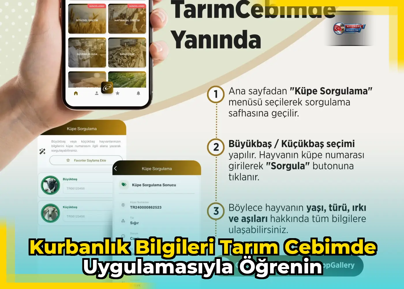 Kurbanlık bilgileri Tarım Cebimde uygulamasıyla öğrenin