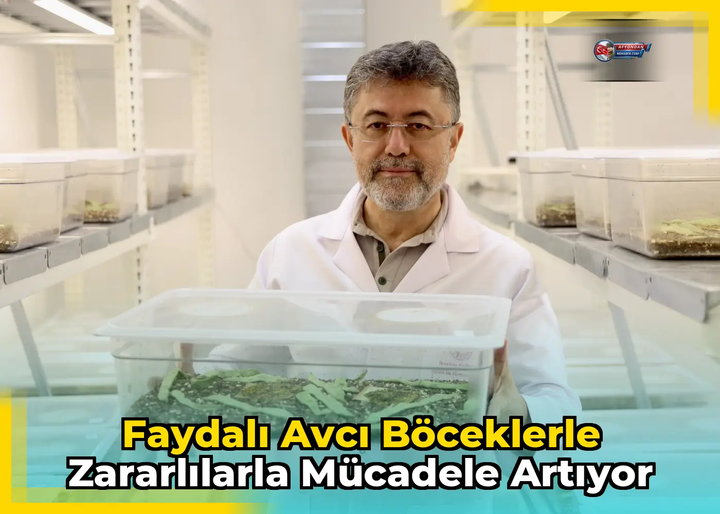 Faydalı avcı böceklerle zararlılarla mücadele artıyor