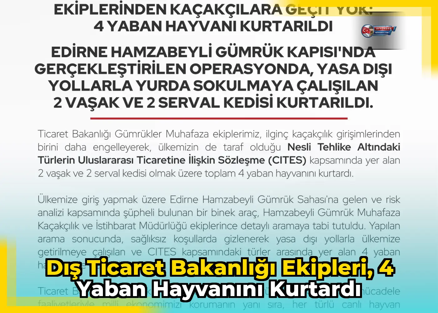 Dış Ticaret Bakanlığı ekipleri, 4 yaban hayvanını kurtardı