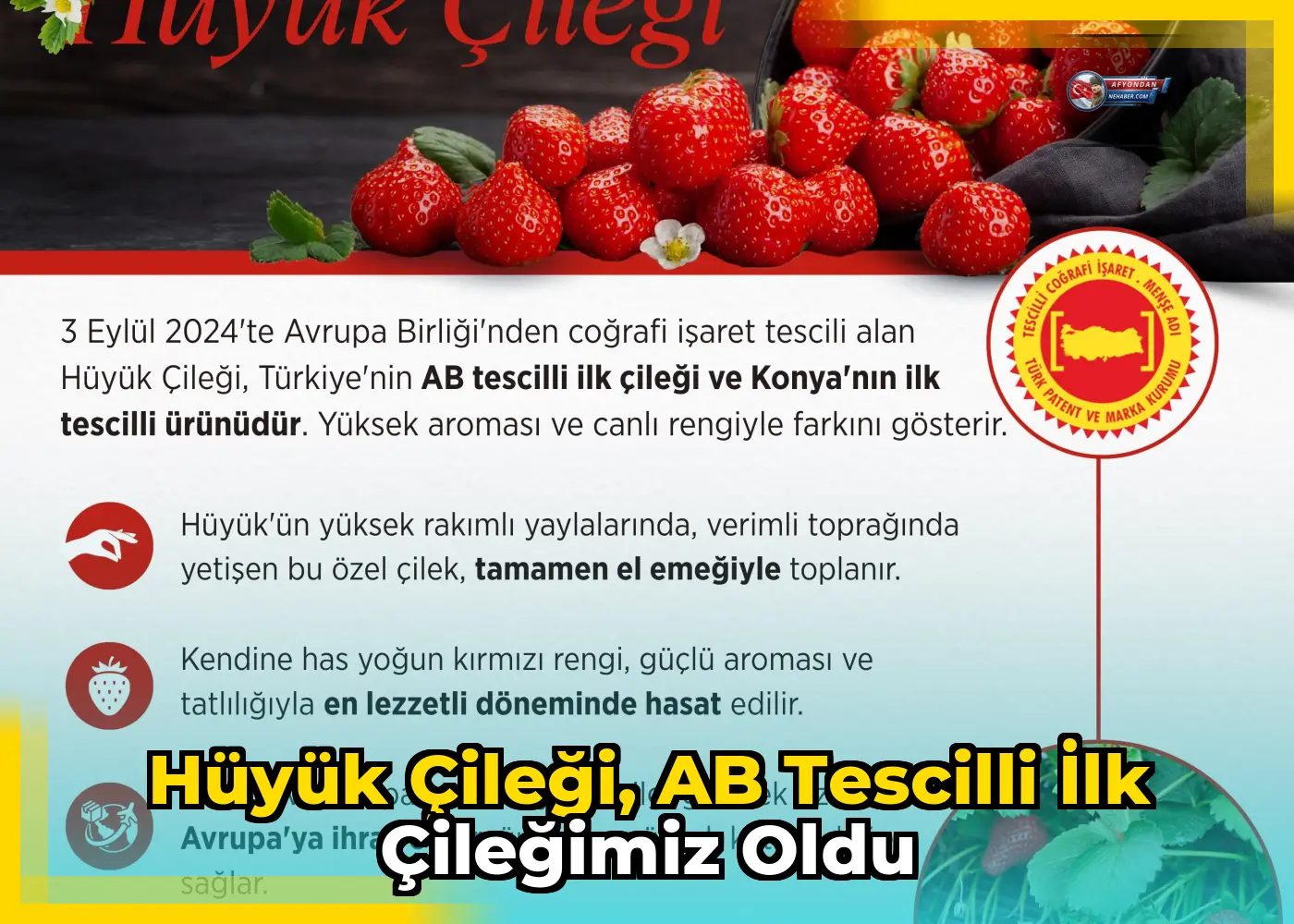 Hüyük Çileği, AB tescilli ilk çileğimiz oldu