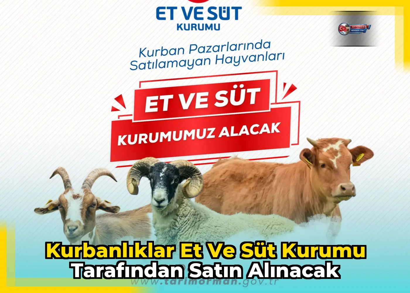 Kurbanlıklar Et ve Süt Kurumu tarafından satın alınacak