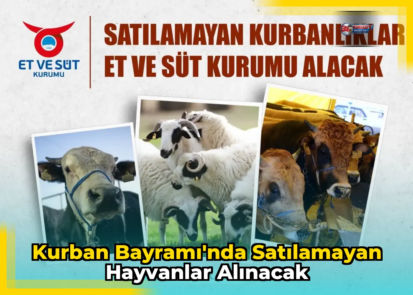 Kurban Bayramı'nda satılamayan hayvanlar alınacak