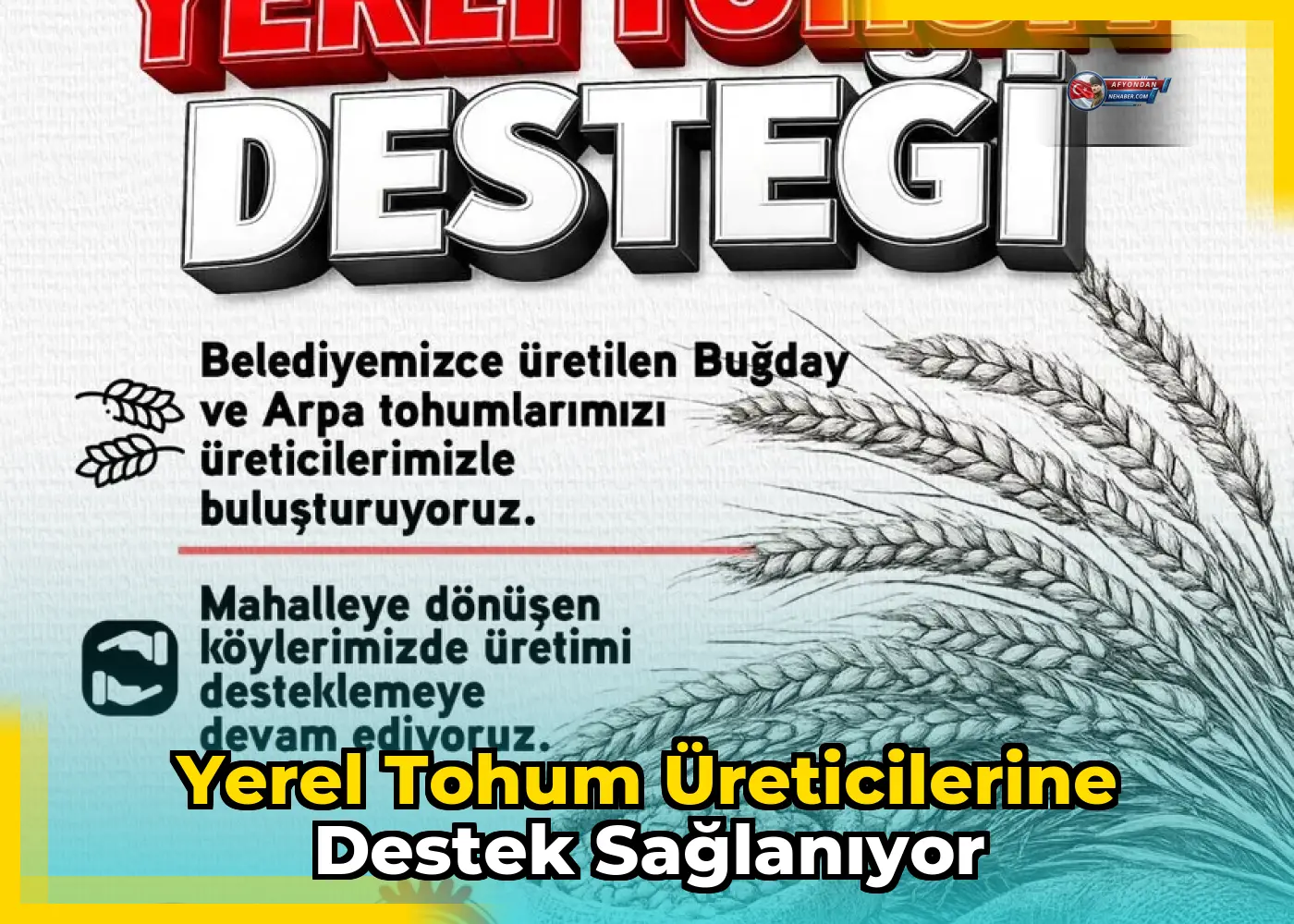 Yerel tohum üreticilerine destek sağlanıyor