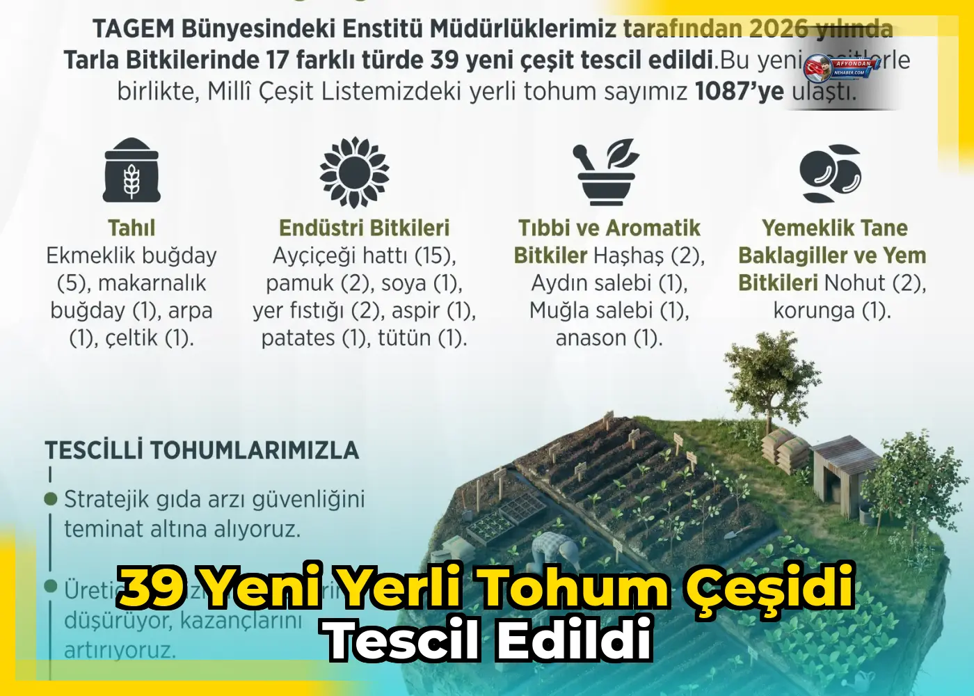 39 yeni yerli tohum çeşidi tescil edildi