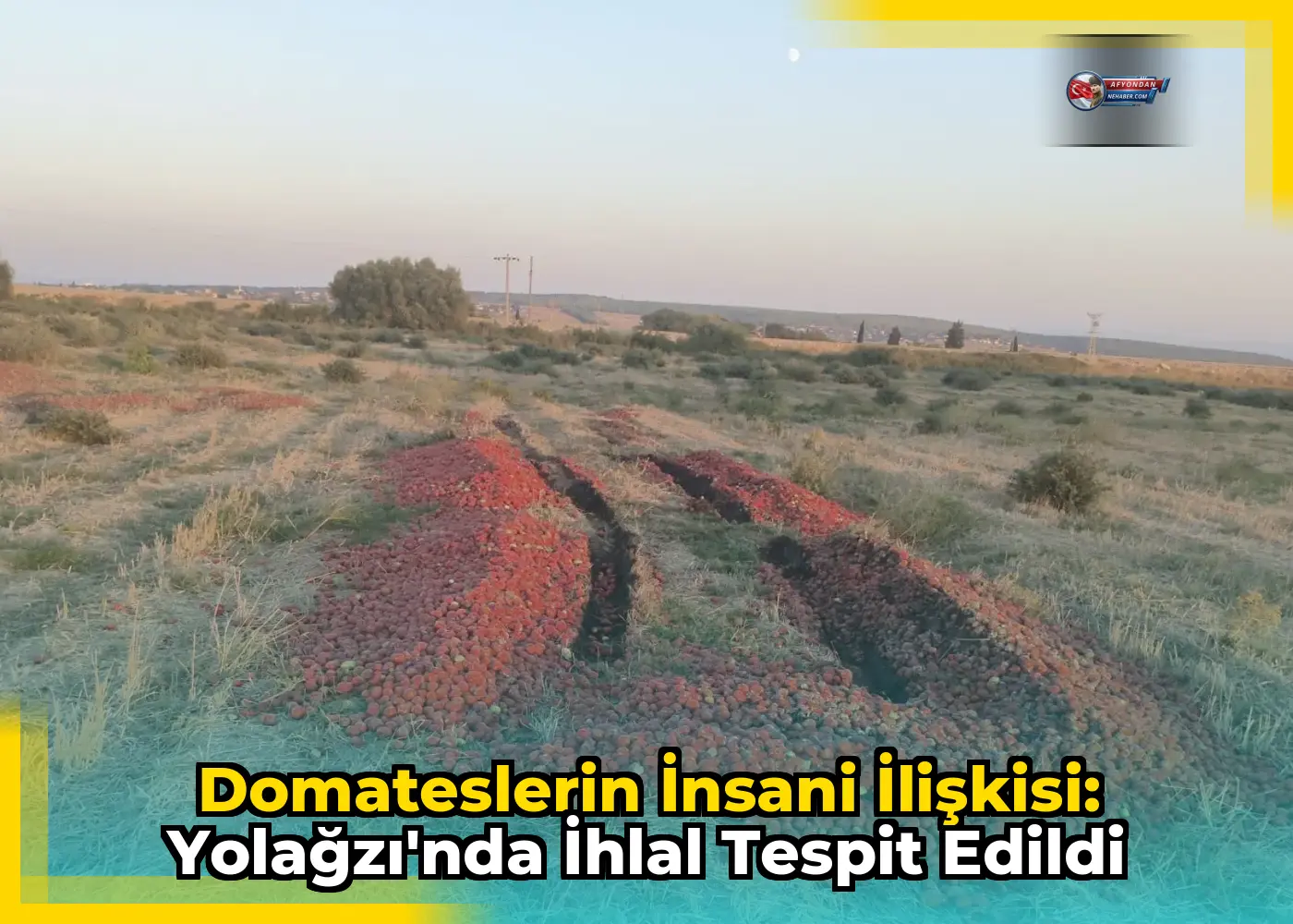 Domateslerin İnsani İlişkisi: Yolağzı'nda İhlal Tespit Edildi