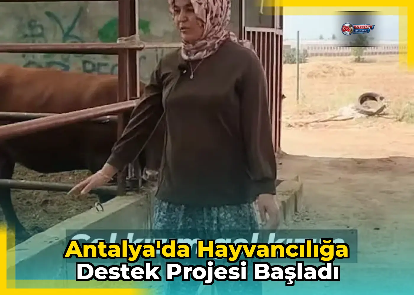 Antalya'da Hayvancılığa Destek Projesi Başladı