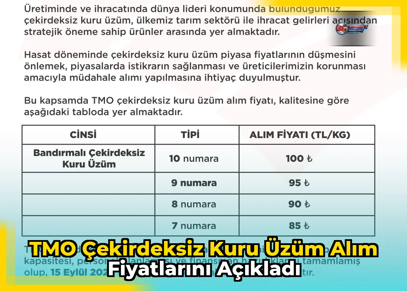TMO çekirdeksiz kuru üzüm alım fiyatlarını açıkladı