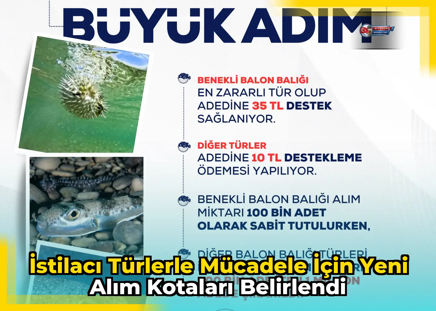 İstilacı türlerle mücadele için yeni alım kotaları belirlendi