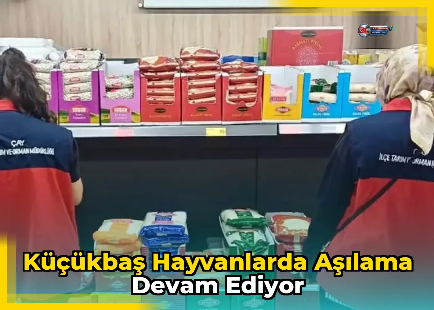 Küçükbaş Hayvanlarda Aşılama Devam Ediyor