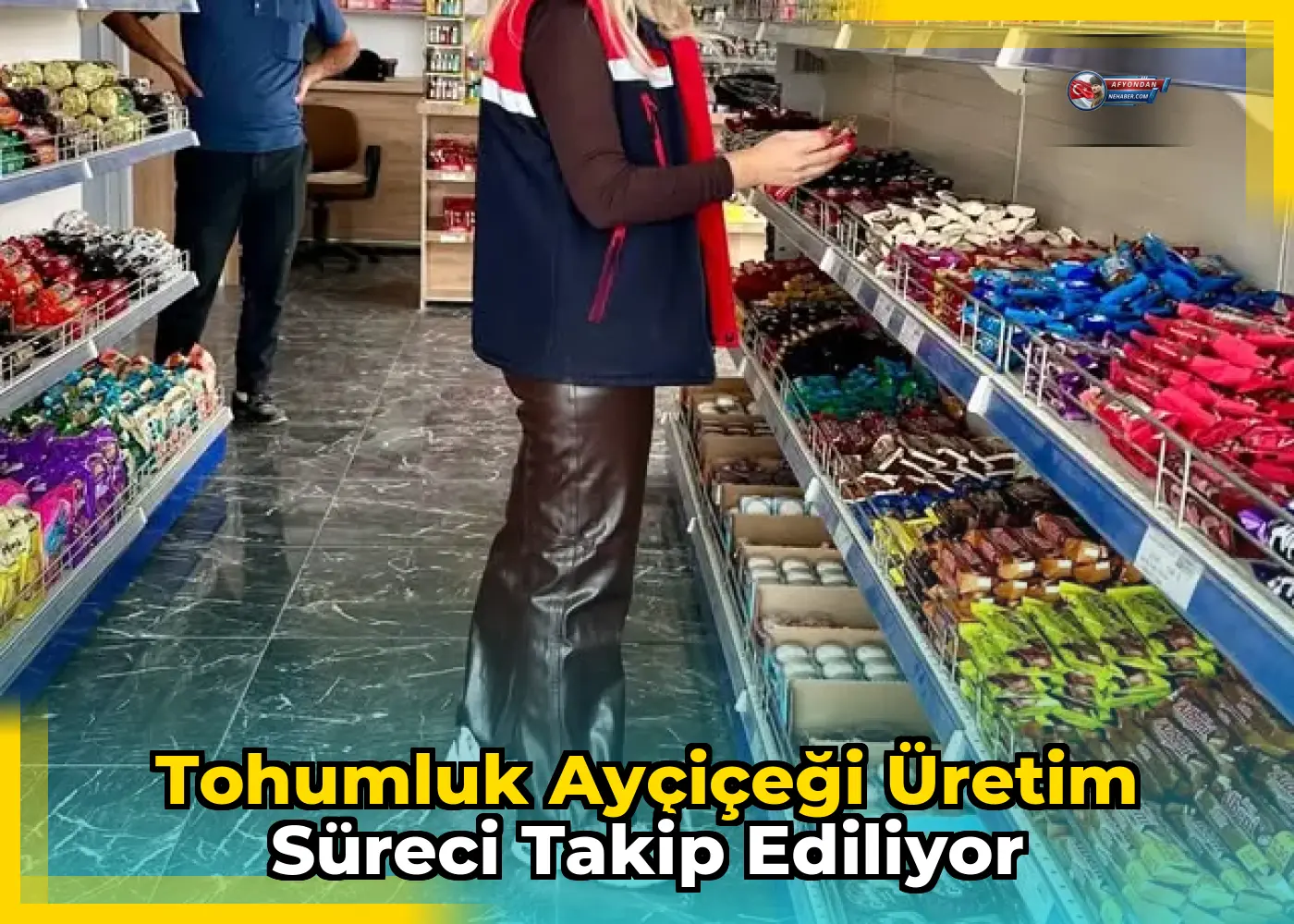 Tohumluk ayçiçeği üretim süreci takip ediliyor