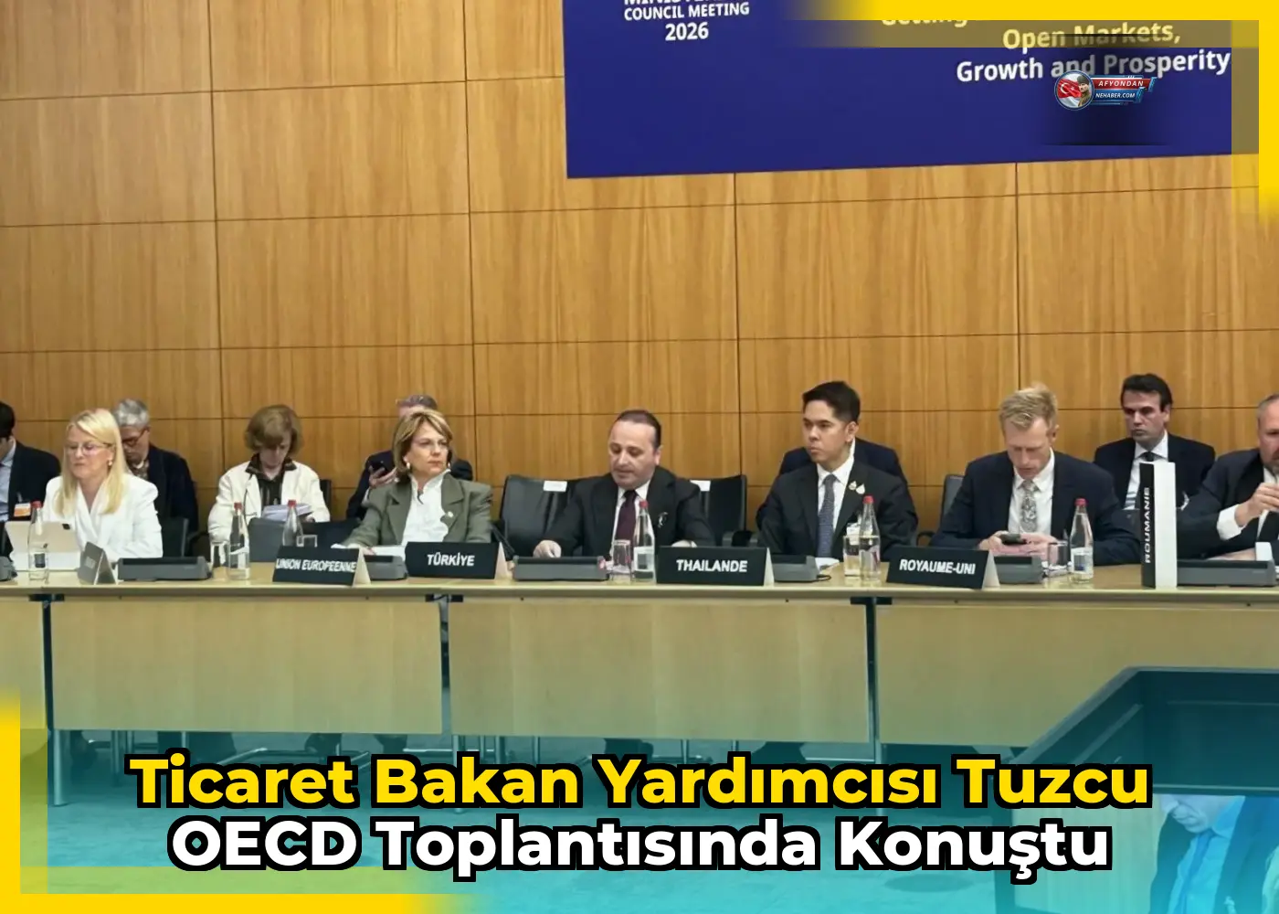 Ticaret Bakan Yardımcısı Tuzcu OECD toplantısında konuştu