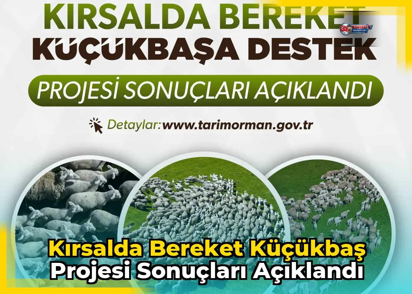 Kırsalda Bereket Küçükbaş Projesi Sonuçları Açıklandı