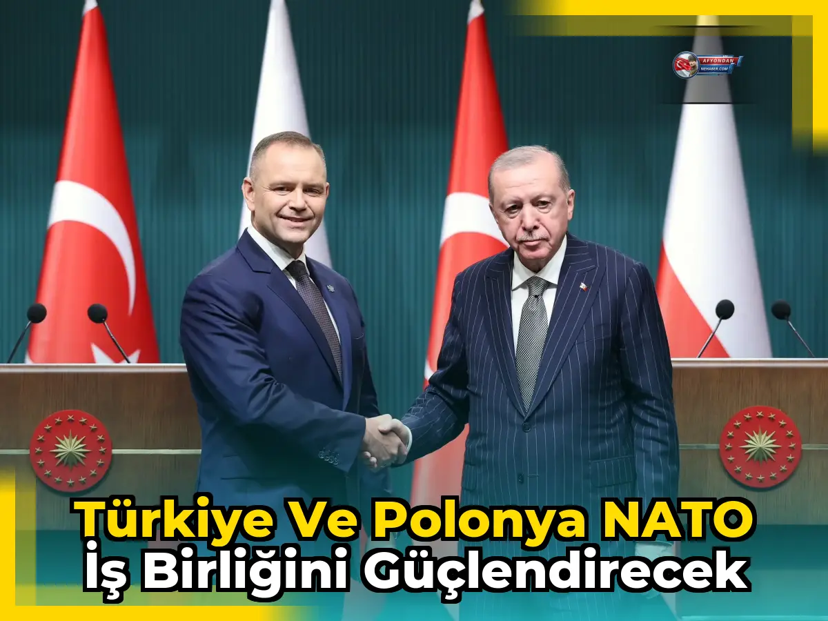 Türkiye ve Polonya NATO iş birliğini güçlendirecek