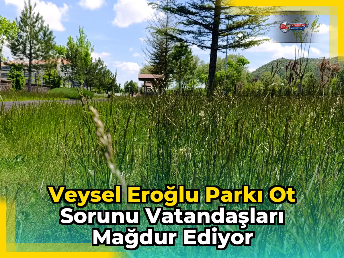 Veysel Eroğlu Parkı Ot Sorunu Vatandaşları Mağdur Ediyor