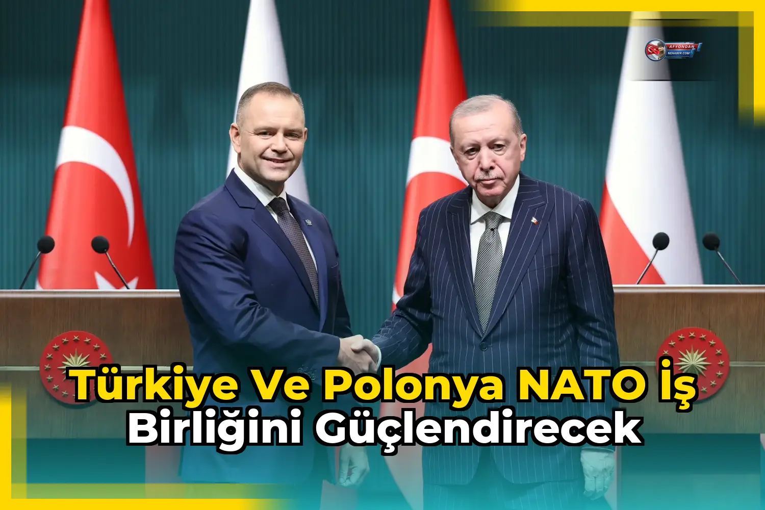 Türkiye ve Polonya NATO iş birliğini güçlendirecek
