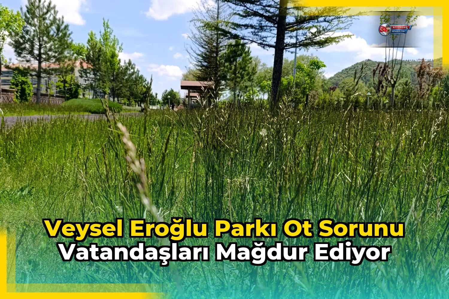 Veysel Eroğlu Parkı Ot Sorunu Vatandaşları Mağdur Ediyor