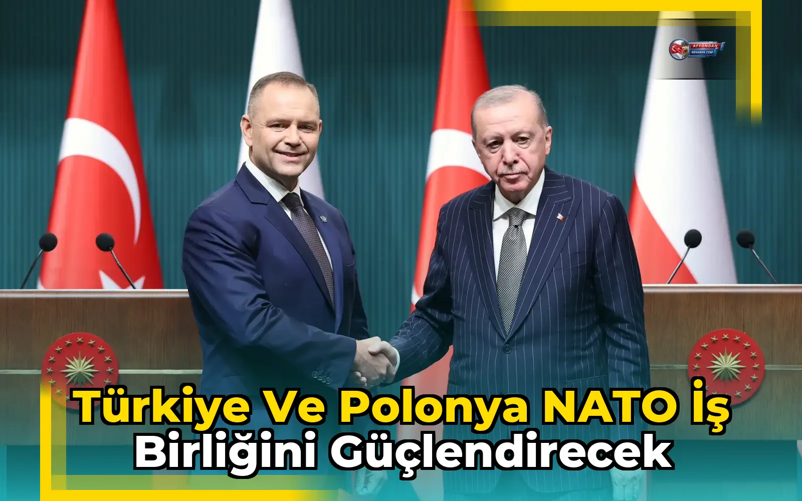 Türkiye ve Polonya NATO iş birliğini güçlendirecek