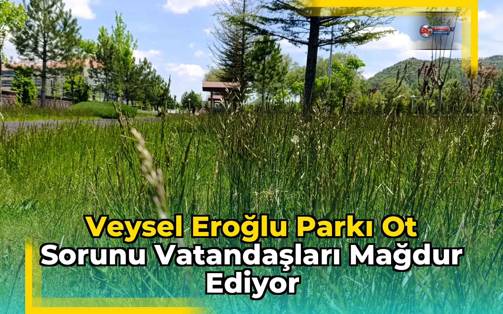 Veysel Eroğlu Parkı Ot Sorunu Vatandaşları Mağdur Ediyor