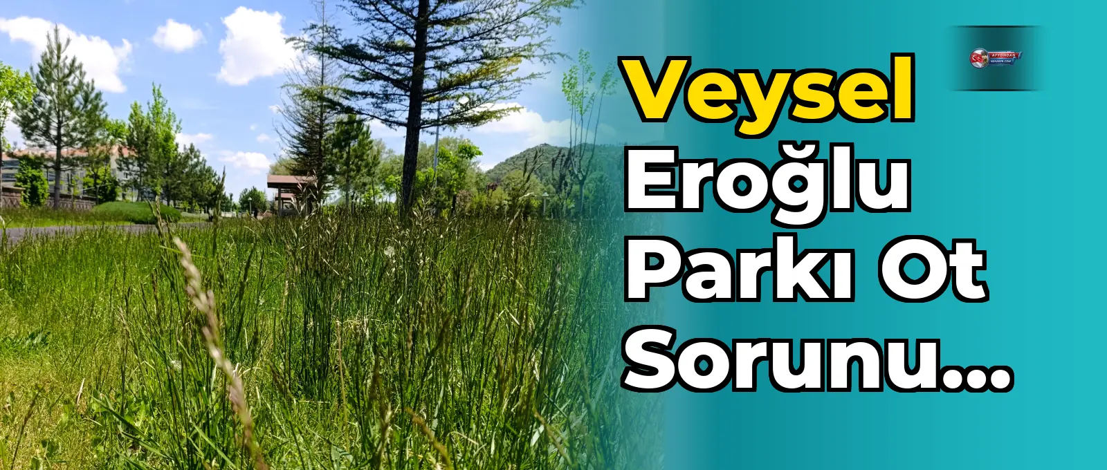 Veysel Eroğlu Parkı Ot Sorunu Vatandaşları Mağdur Ediyor